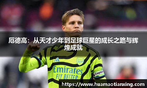 厄德高：从天才少年到足球巨星的成长之路与辉煌成就
